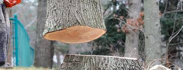 Best Tree Mulching  in Delavan, IL